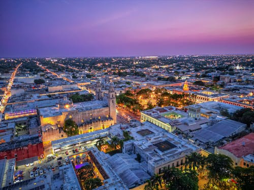 Park in the Evening Seen From Above 