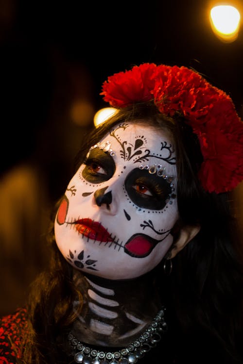 Imagine de stoc gratuită din artă, arta traditionala, catrina