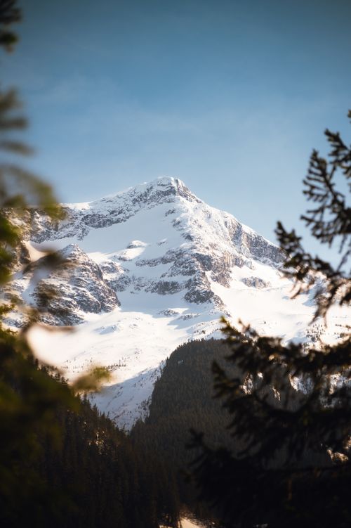Free Scenic view of a snowcapped mountain surrounded by forests under a clear blue sky. Stock Photo