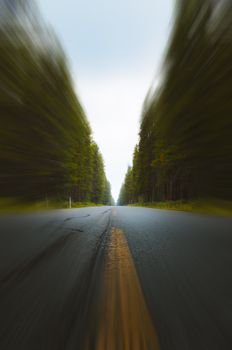 A captivating perspective of a forest road with blurred motion, showcasing a vibrant pathway through nature.