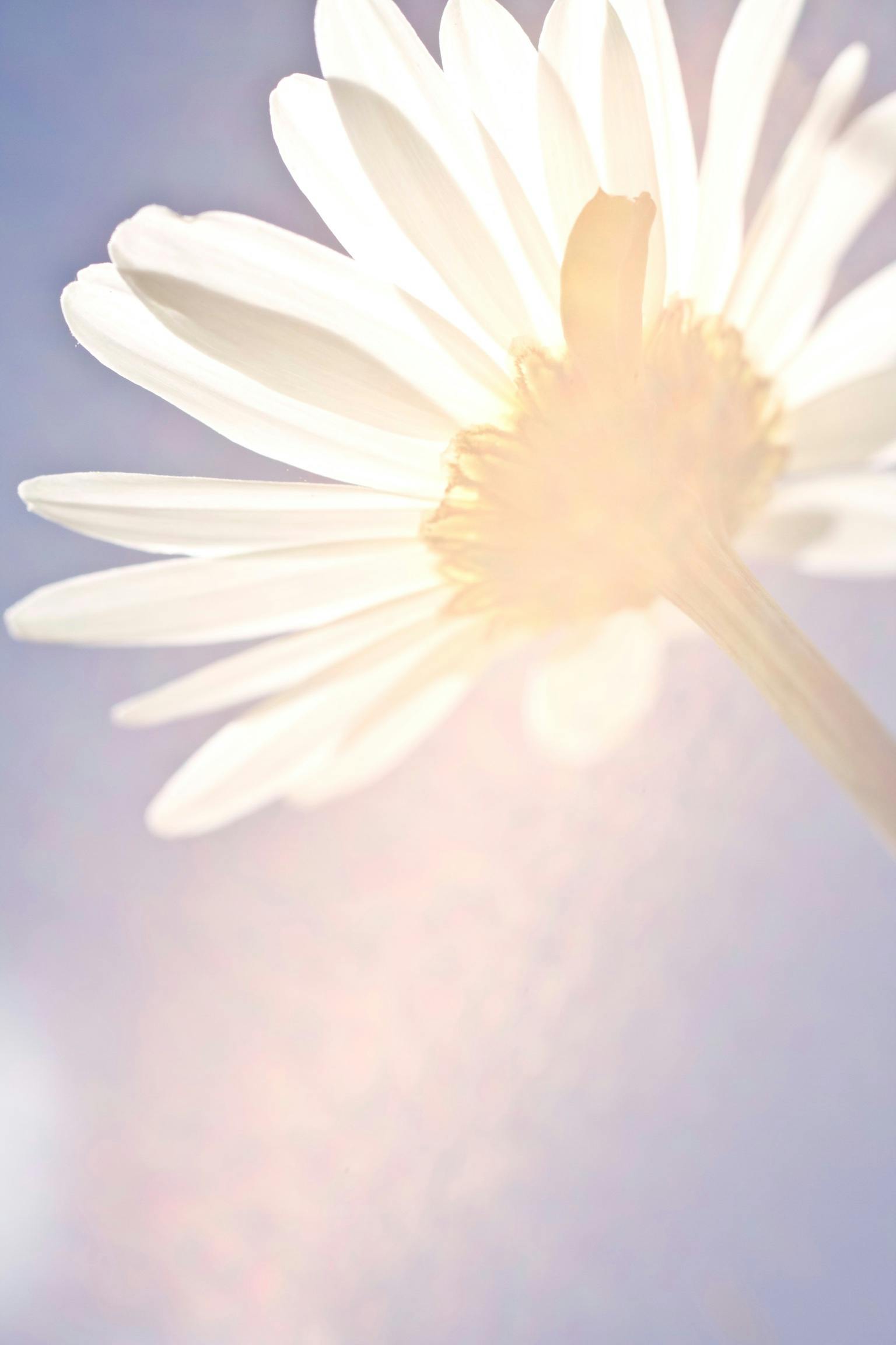 La Torre Eiffel en París