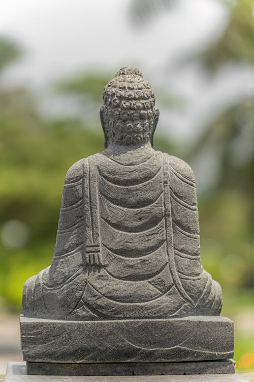 Foto d'estoc gratuïta de Buda, budista, d'esquena