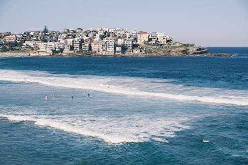 Základová fotografie zdarma na téma austrálie, bondi beach, léto