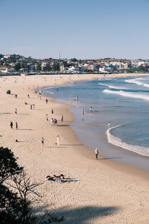 Gratis lagerfoto af Australien, bølger, bondi beach