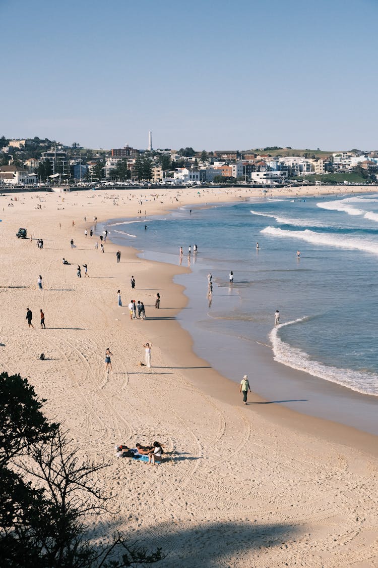 Bondi Beach In Australia