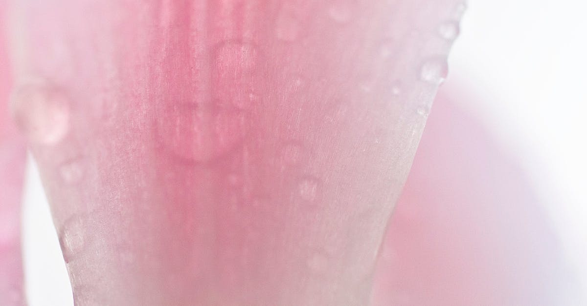 Free stock photo of abstract, after the rain, flower