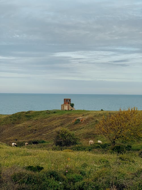 Small Abandoned Building on the Shore 