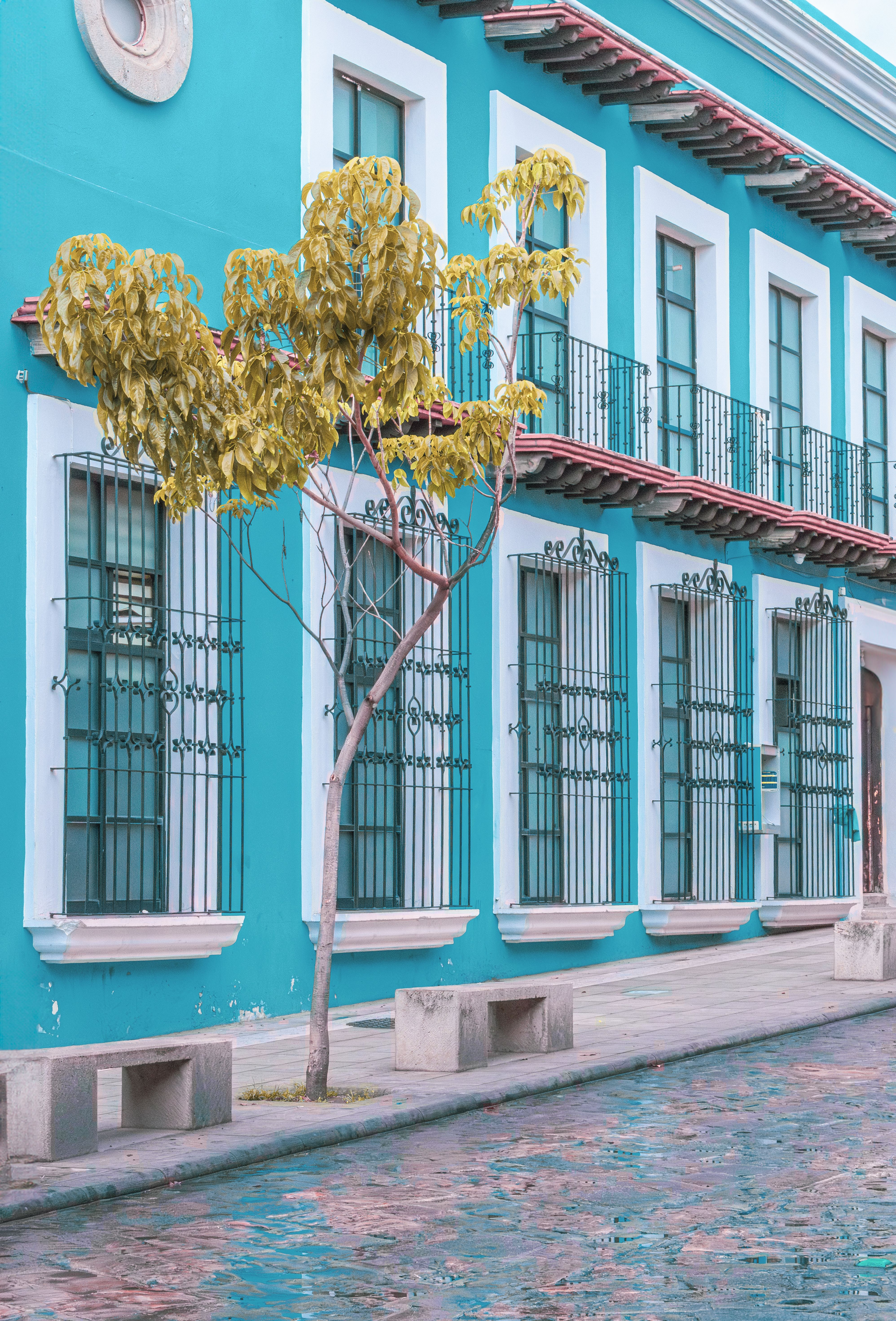 Blue Building by the Street in City · Free Stock Photo