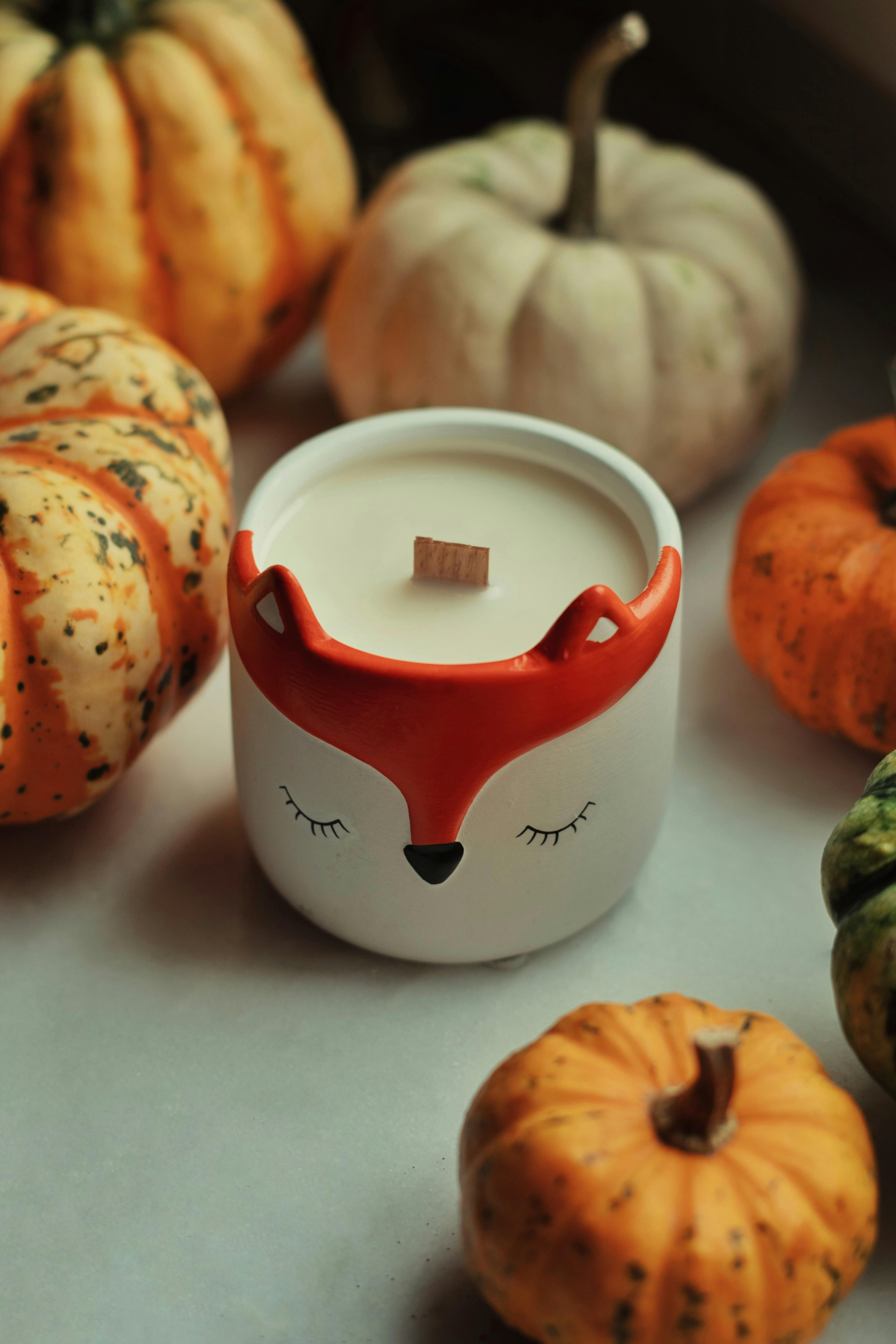 Charming fall candle surrounded by decorative pumpkins, perfect for autumn ambiance.