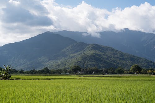 Free stock photo of cloud, green, mountain