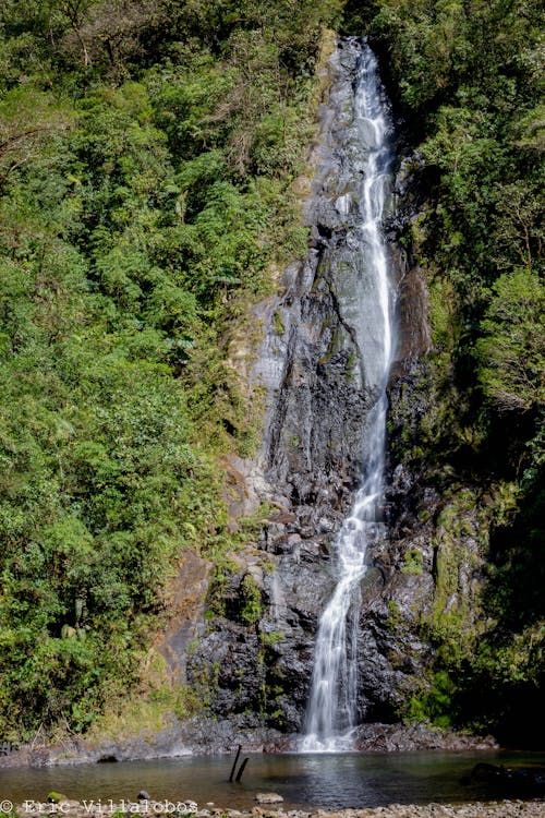 Free stock photo of costa rica, nature, waterfall