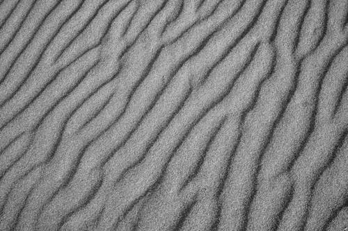 Fotobanka s bezplatnými fotkami na tému čiary, čierny a biely, duna