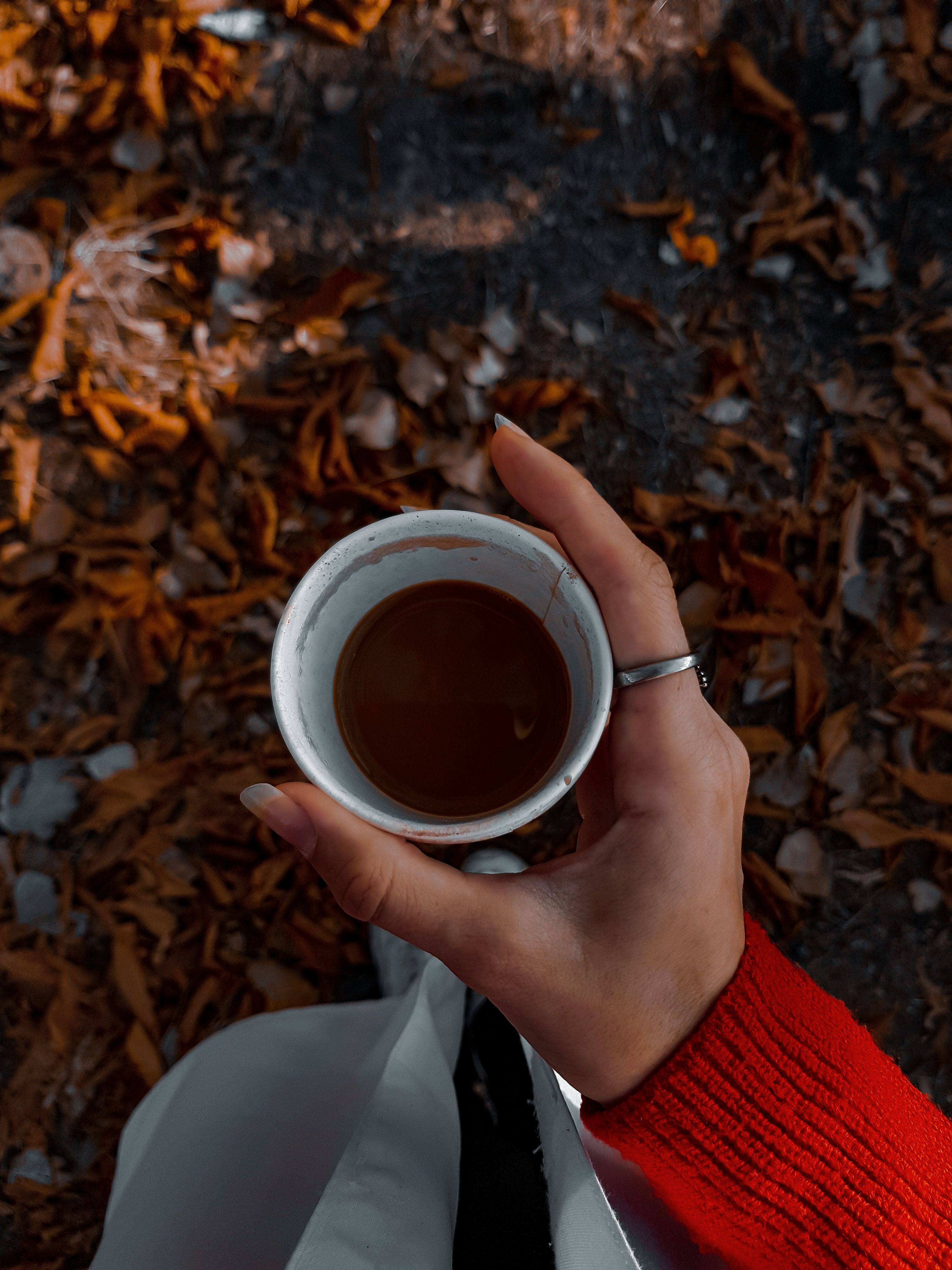 A person holding a coffee cup against a backdrop of fallen leaves, capturing the essence of autumn.. pexels, person, holding