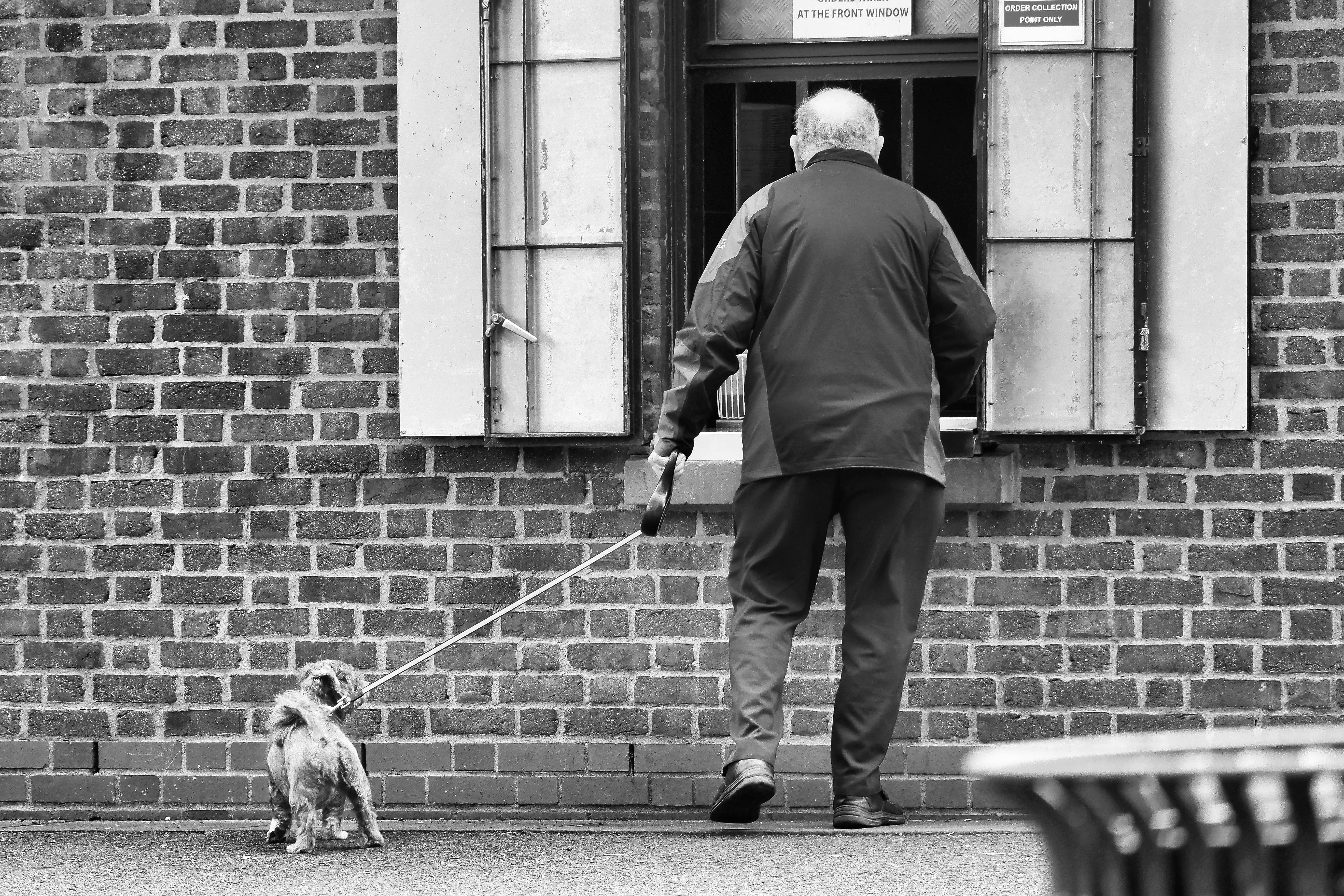 A senior man walks his small dog near a brick building on a city street.