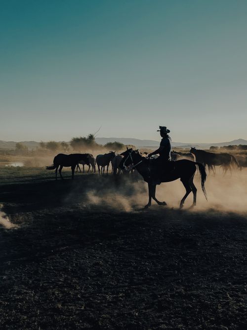 Free Dramatic silhouette of a cowboy on horseback riding through a dusty field at dusk. Stock Photo