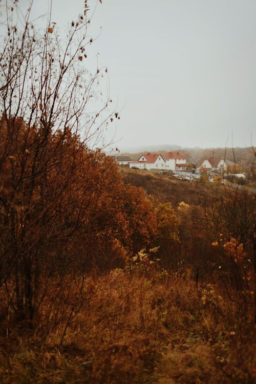 Free A cozy village nestled in autumn foliage with a foggy backdrop, evoking tranquility. Stock Photo
