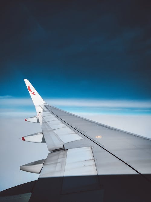 Foto d'estoc gratuïta de aerolínia, aire, ala