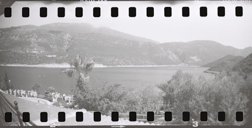 An Old Filmstrip with a Tropical Landscape