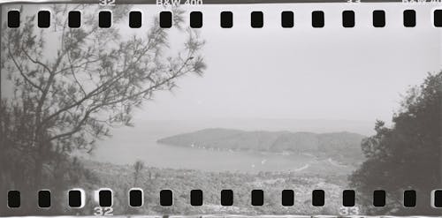 Trees and Sea on the Vintage Filmstrip 