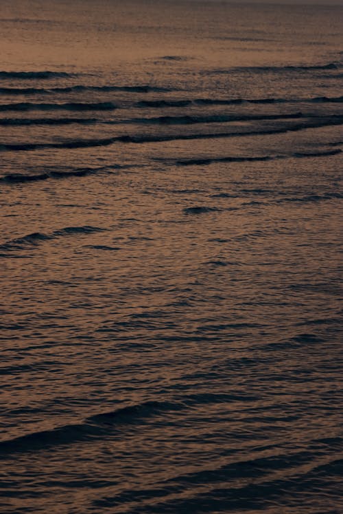 Surface of the Sea near the Shore at Sunset