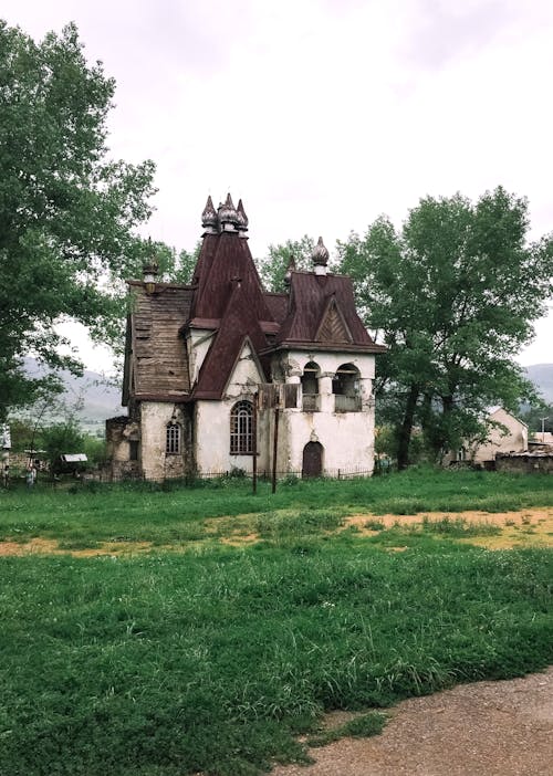 Безкоштовне стокове фото на тему «зелений, ліс, стара церква»