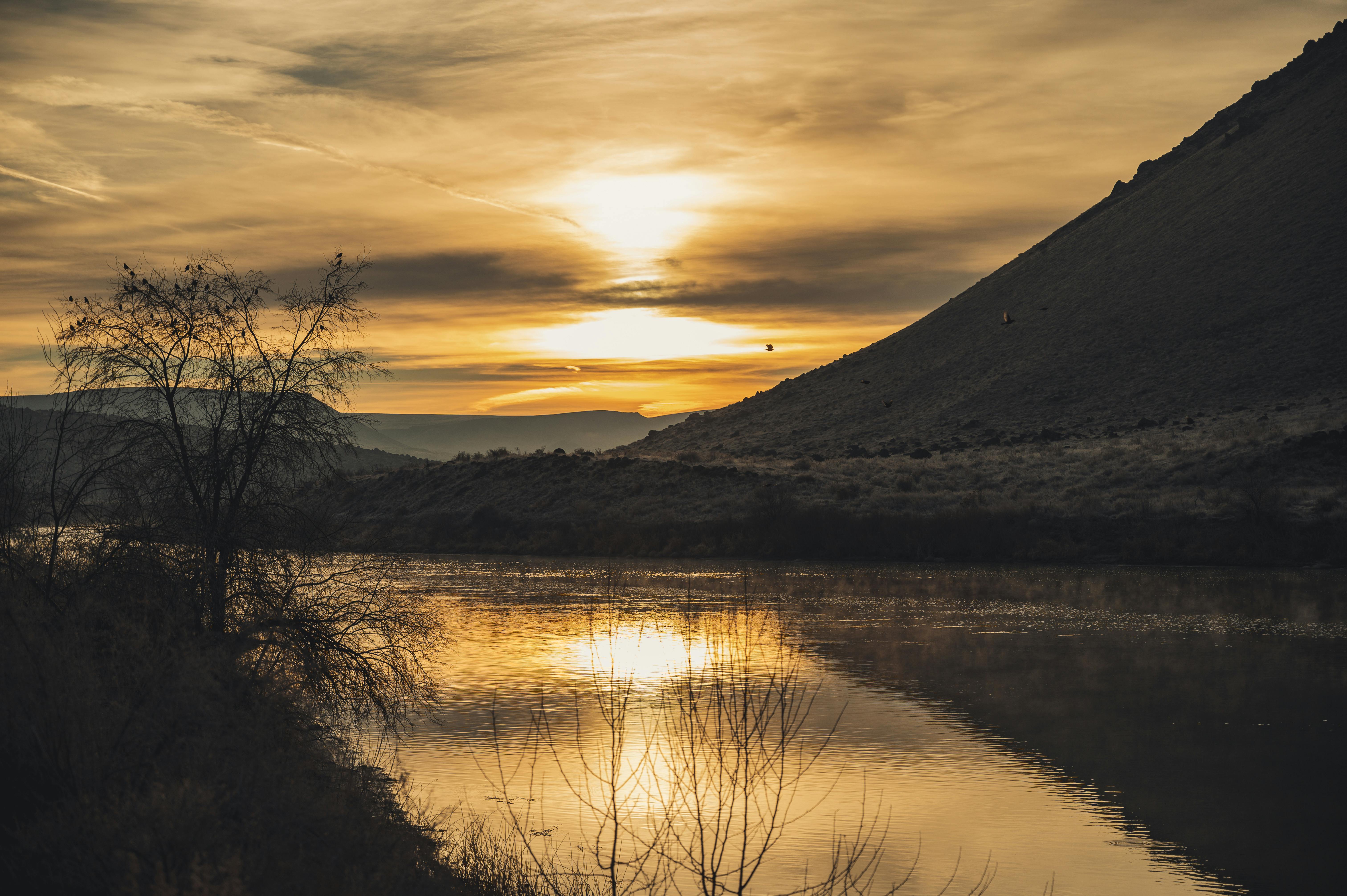 平静的河面上映着金色的日落，四周环绕着树木和山丘的剪影