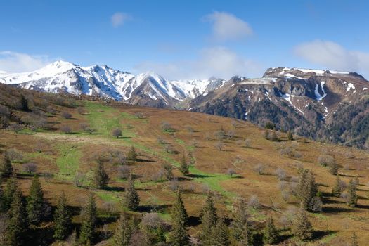 Seyne-les-Alpes