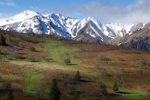 Snowy Mountain Landscape and Pasture