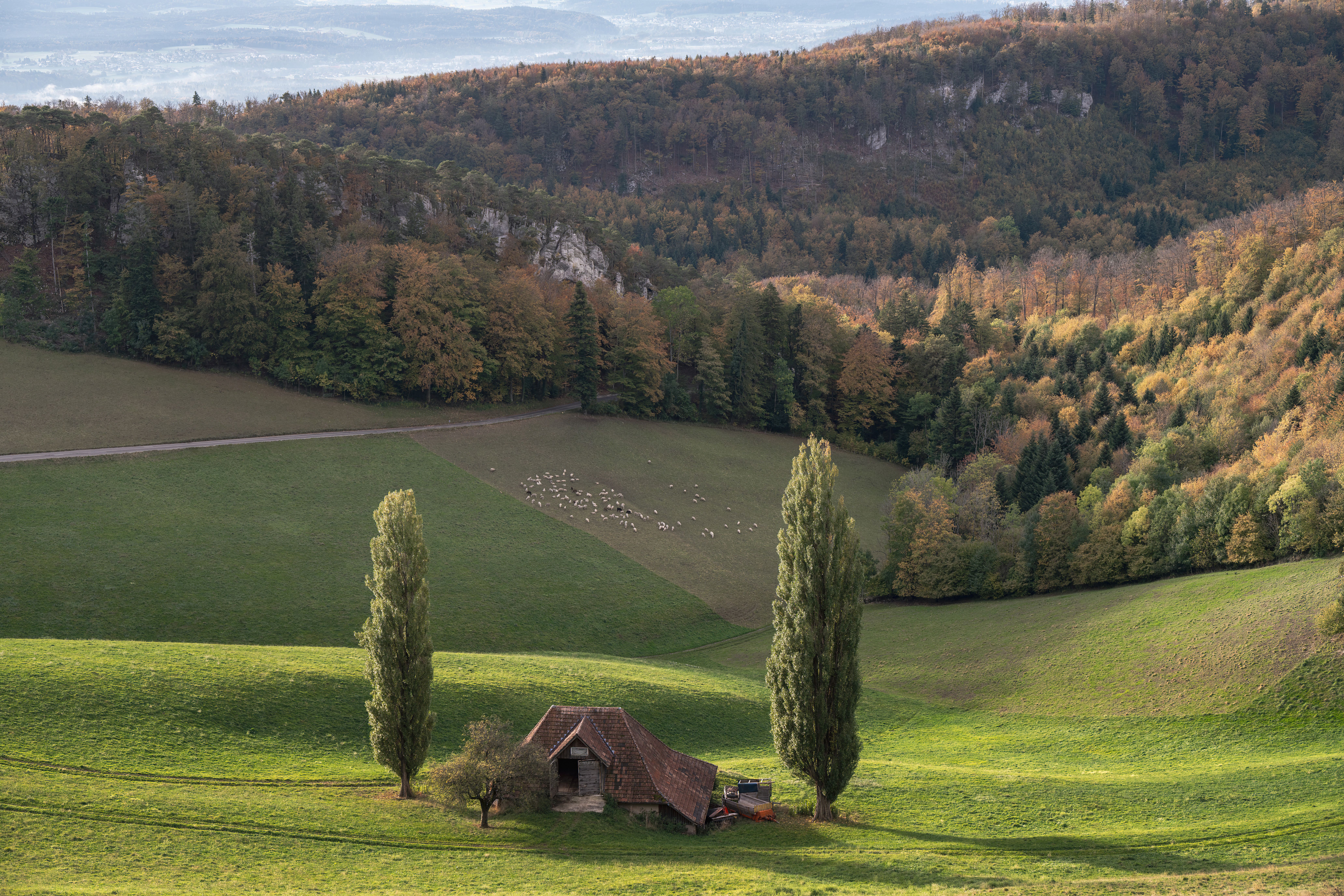 Photos gratuites de @extérieur, agriculture, arbres