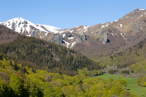 Foto profissional grátis de árvores, auvergne, calmaria