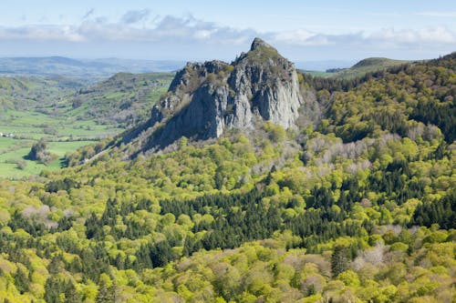 Green Landscape with a Rock and Forests