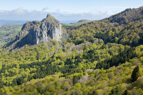 Green Landscape with a Rock and Forests