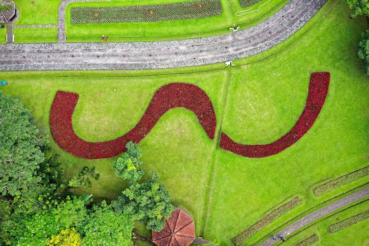 Aerial View Of Green Trees And Green Grass Field