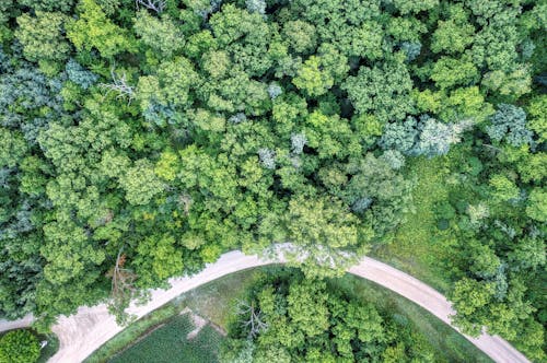 Bend in the Road Near the Forest From a Birds Eye View