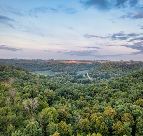 Above the Green Forest