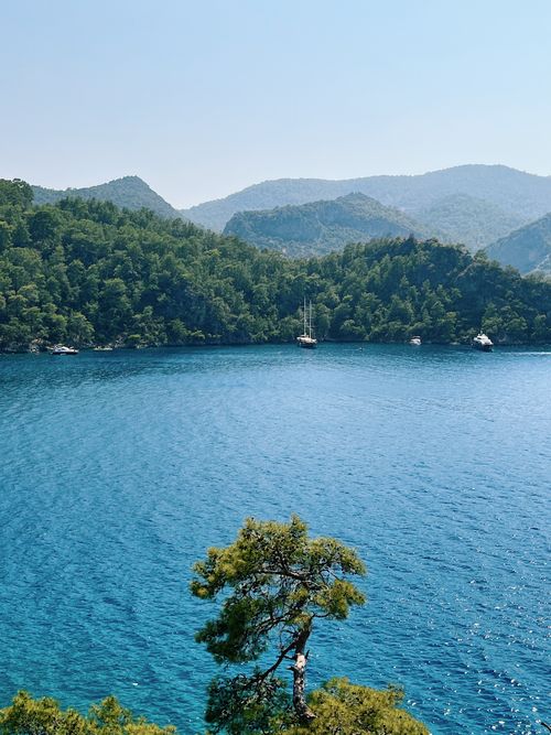 Free Breathtaking high-angle view of a tranquil lake surrounded by lush forest and rolling hills under a clear sky. Stock Photo