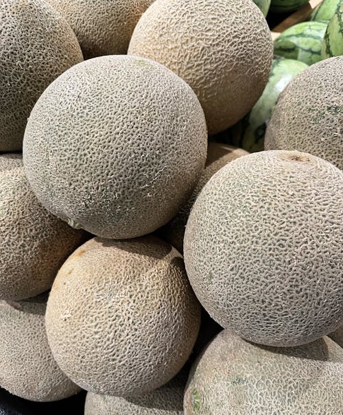 Pile of Melons