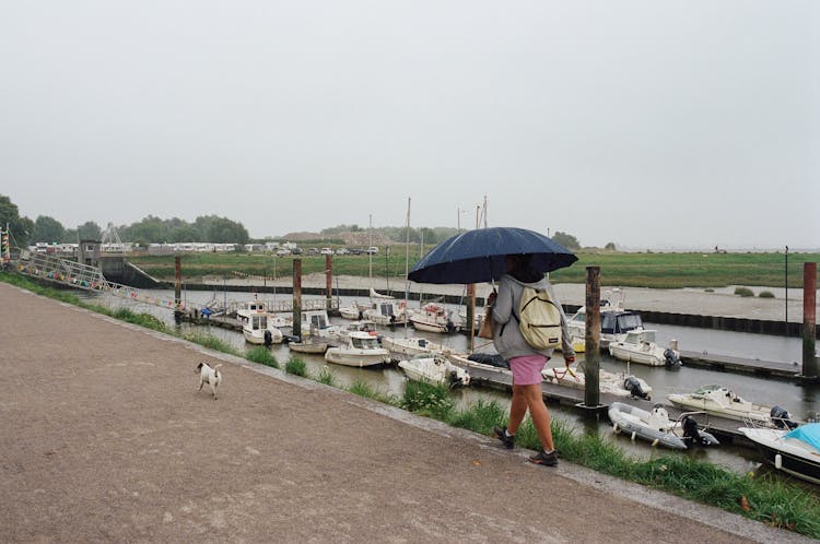 Woman Walking Dog Along Marina In Rain