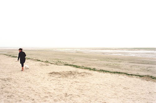 Woman Walking Dog along Beach