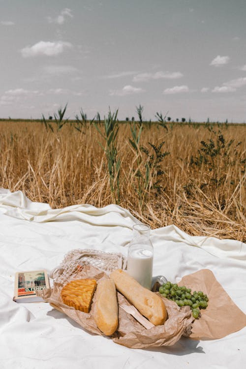 Food, Milk and Book on Picnic Blanket on Field