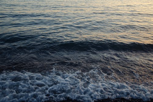 Wavy Water and Foam on Shore