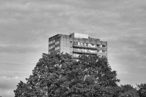 Free Black and white photo of a modern apartment building rising above trees, emphasizing urban architecture. Stock Photo