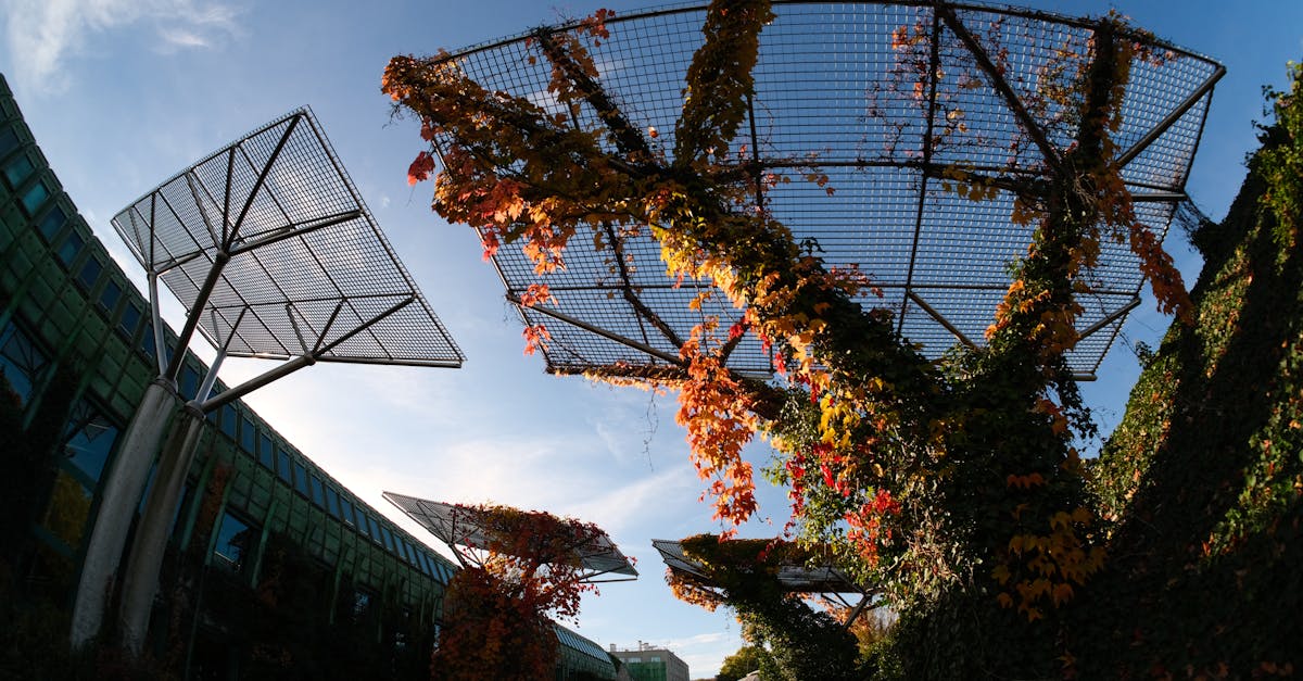 Les tendances des parcs d'attractions en 2026