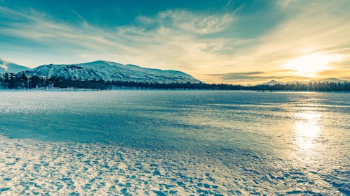 Безкоштовне стокове фото на тему «norge, prestvannet, арктична зима»