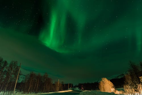 Gratis lagerfoto af aurora borealis, grøn aurora, nordlys