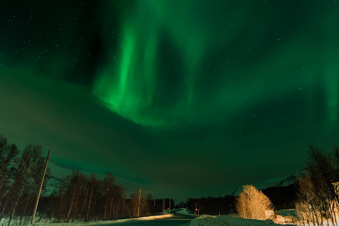 Gratis lagerfoto af aurora borealis, grøn aurora, nordlys