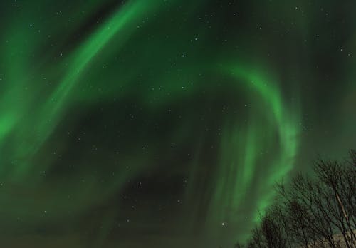 Kostenloses Stock Foto zu grüne aurora, nordlicht, nordlichter