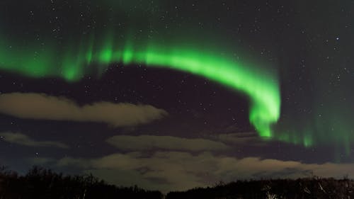 Gratis lagerfoto af aurora borealis, grøn aurora, nordlys