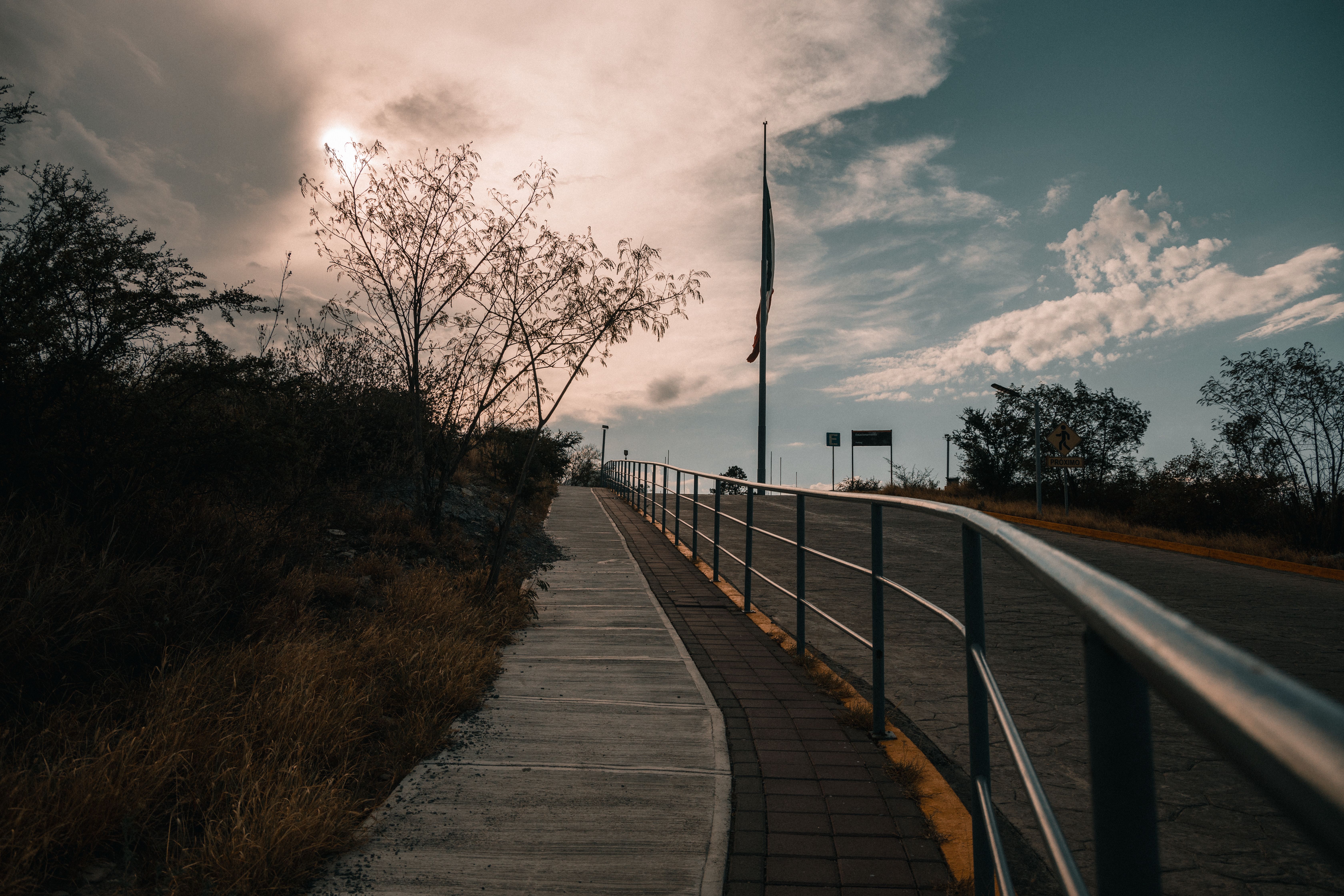 Foto De Camino Cerca De Plantas Bajo Cielo Nublado · Foto de stock gratuita