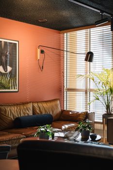 Bright Amsterdam living room with leather sofa and indoor plants, featuring modern design elements.